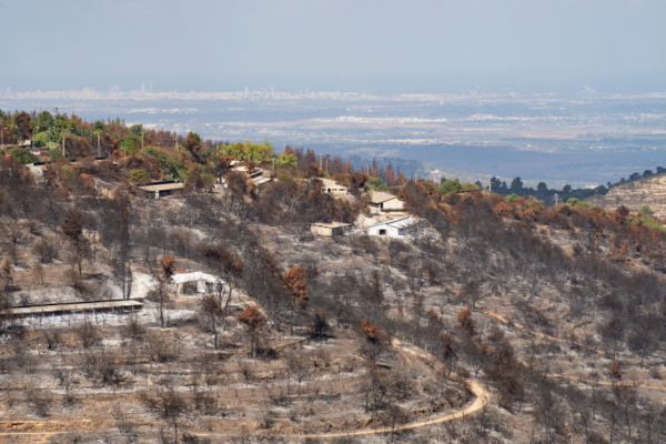 Wildfires Reshape LA Real Estate: Experts Warn of New Challenges