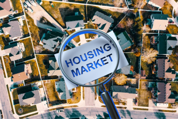 Work Real Estate Helps People Navigate the Housing Market in Amsterdam Region