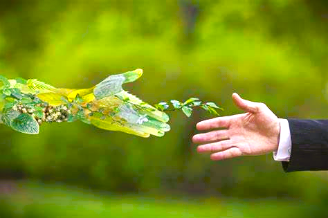 Green Is the New Gold: How a London Hotel’s Eco Overhaul Boosts the Planet and Profits