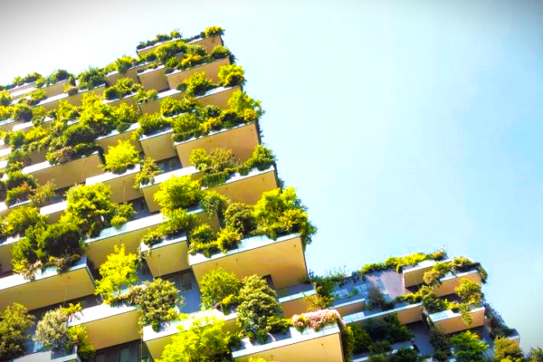 Gresham House Raises $500 Million to Expand UK Forestry Investment and Carbon Sequestration