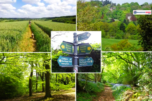 Innovative Self-Build Housing Proposal Submitted for Little Kingshill Green Belt Land