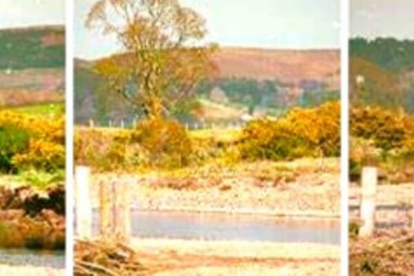 Flowing Free Again: The Epic Restoration of the Breamish Valley