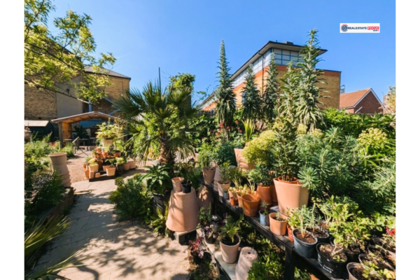 Step Back in Time: Explore Walworth’s Hidden Historic Gardens June 14