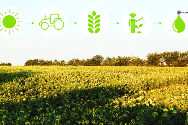 British Agriculture at a Crossroads: Climate, Reform, and Opportunity