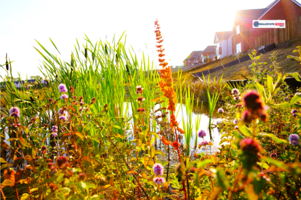 Rewilding the Urban Landscape: How UK Developers Are Boosting Biodiversity